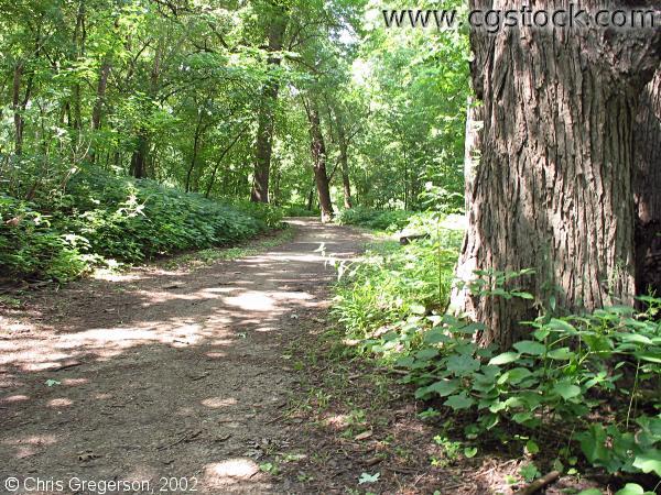 Hiking Path at Fort Snelling State Park