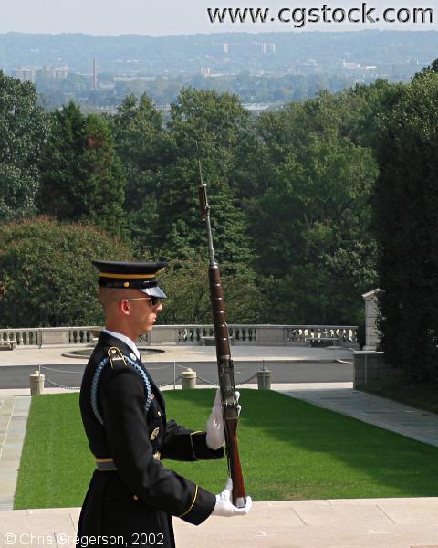 Sentinel at the Tomb of the Unknowns