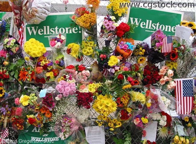 Wellstone Memorial