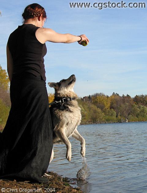 Dog Playing Fetch at Lake Harriet