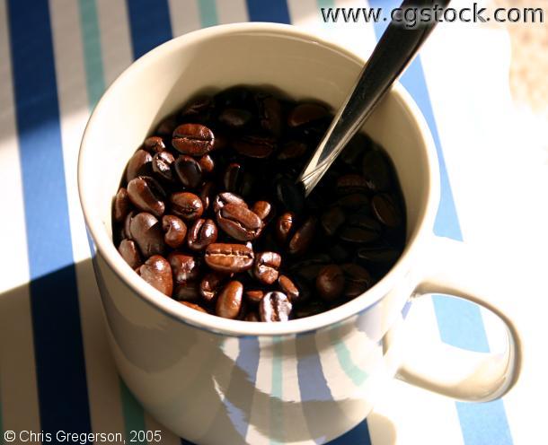 Roasted Coffee Beans in Coffee Cup