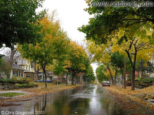 Residential Street in Early Fall 