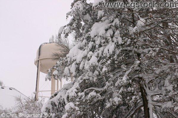 Water Tower and Trees Covered in Snow