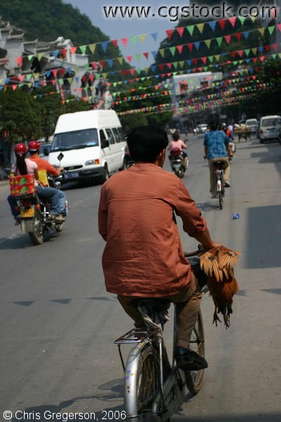 Man Bicycling Home with a Chicken