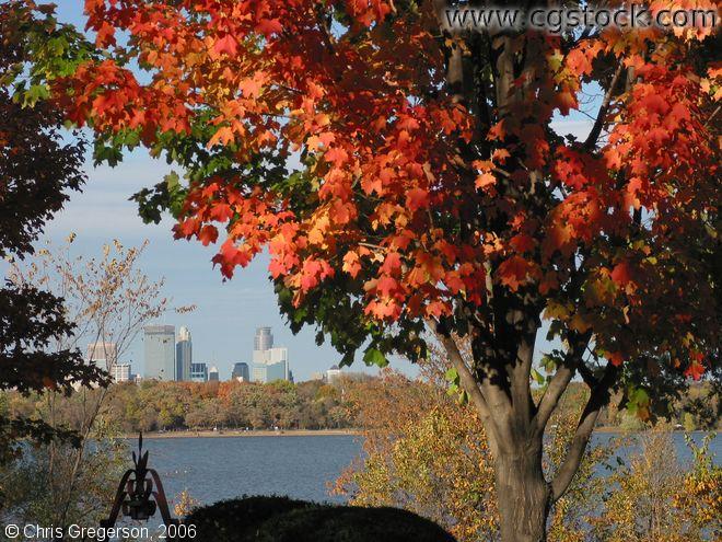 Green and Red Leafs, Lake Harriet and Minneapolis Skyline