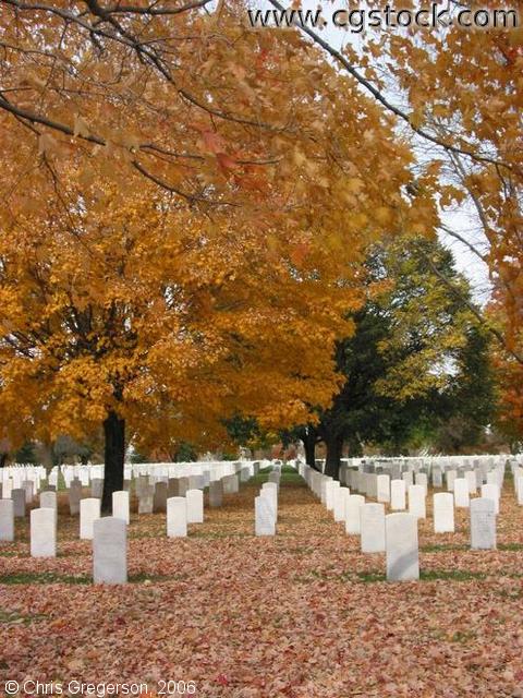 Fort Snelling National Cemetery in Fall