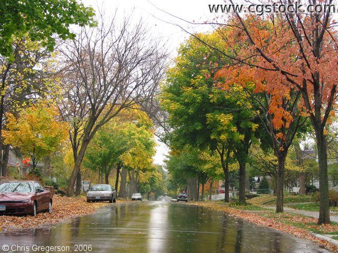 Linden Hills in Fall
