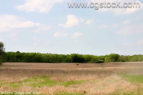 Grass Field in Rural Wisconsin
