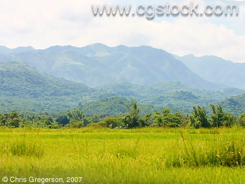 Farm Fields of Badoc, Ilocos Norte, the Philippines