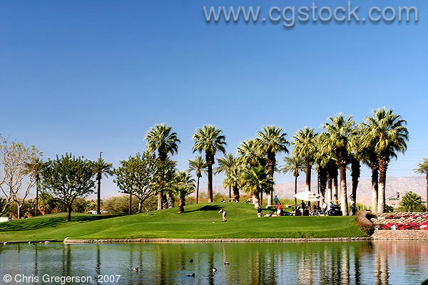 Golf Course, Marriott Desert Springs