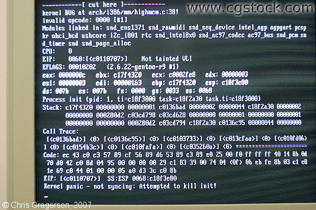 Gentoo Linux Crashing after Udev During Boot (highmem.c)
