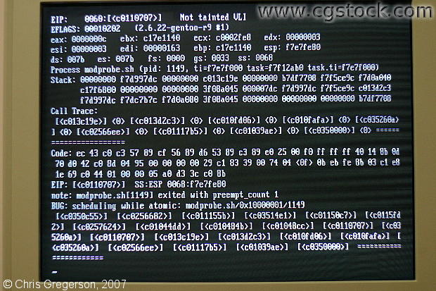 Gentoo Linux Crashing after Udev During Boot (EIP)