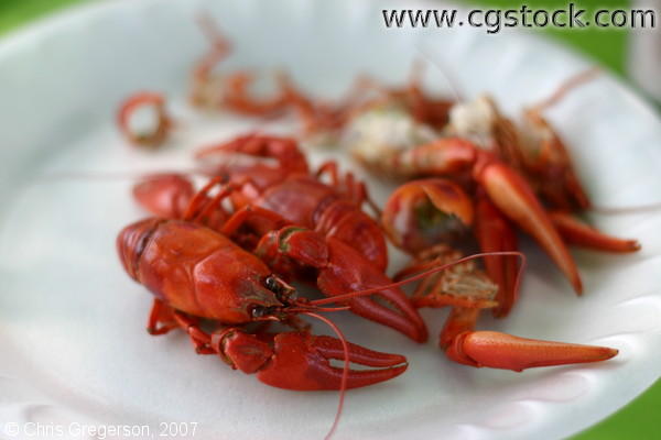 Cooked Crayfish/Crawfish