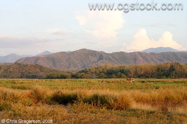 Farm Fields and Mountains, Ilocos Norte, the Philippines