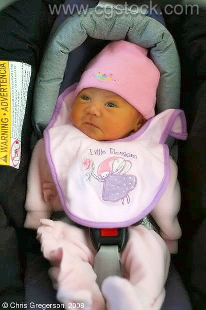 Newborn Infant in a Car Seat