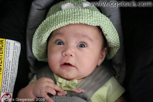 Baby Girl in Car Seat with Shocked Look