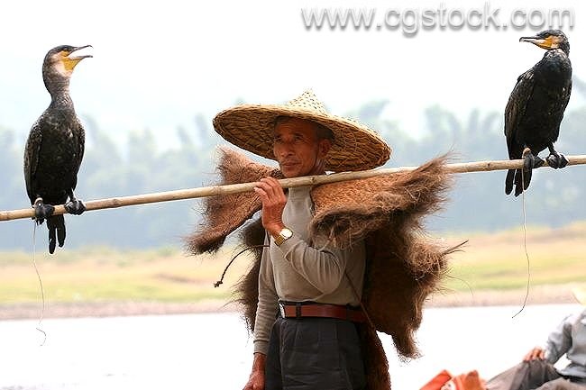 Traditional Fisherman, Li River, China