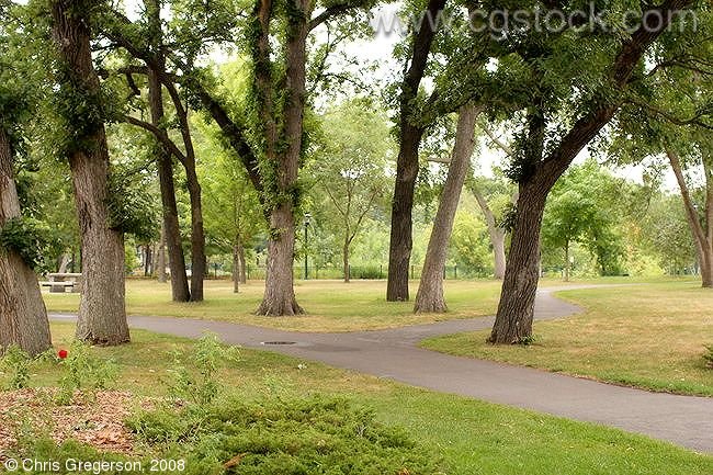 Walking Path and Trees at Minnehaha Park