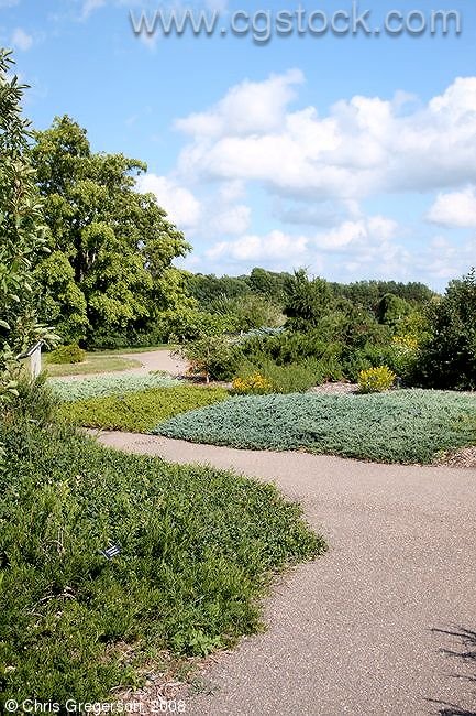 Bailey Shrub Walk, Minnesota Landscape Arboretum