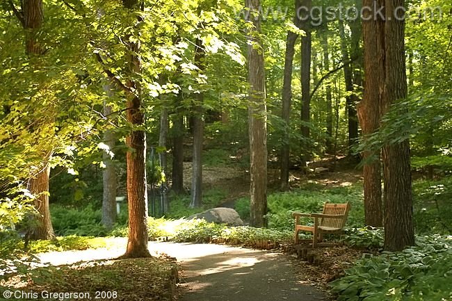 Walking Path, Minnesota Landscape Arboretum