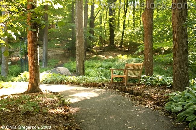 Park Bench, Minnesota Landscape Arboretum