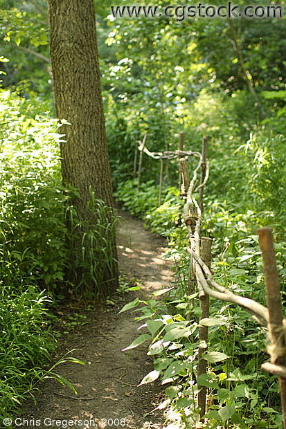 Walking Trail, U of M Landscape Arboretum