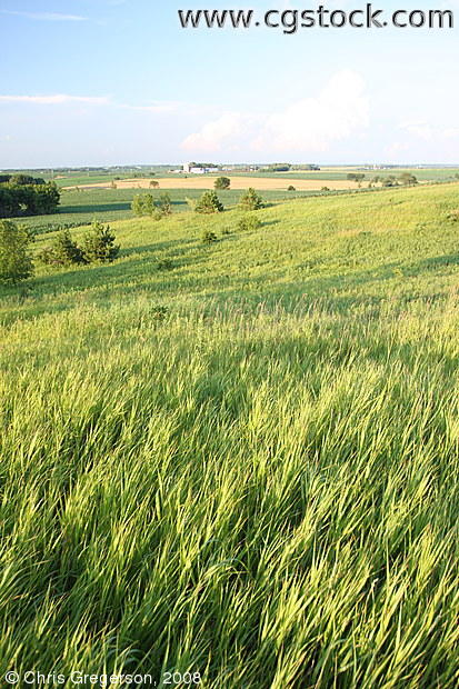 Hill and Farmland in St. Croix County