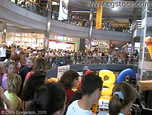 Crowd in the Rotunda at the Mall of America