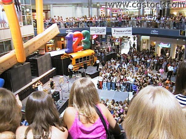 Crowd in the Rotunda at the Mall of America