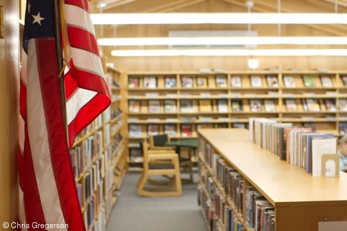 Flag and Bookshelves, Friday Library