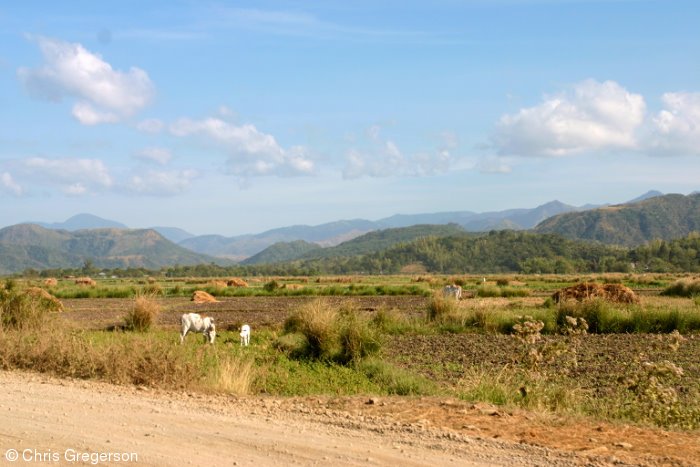 Mountains and Farm Fields in Ilocos Norte