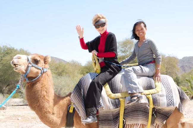 Camel Ride, California