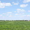Farm field outside New Richmond, WI